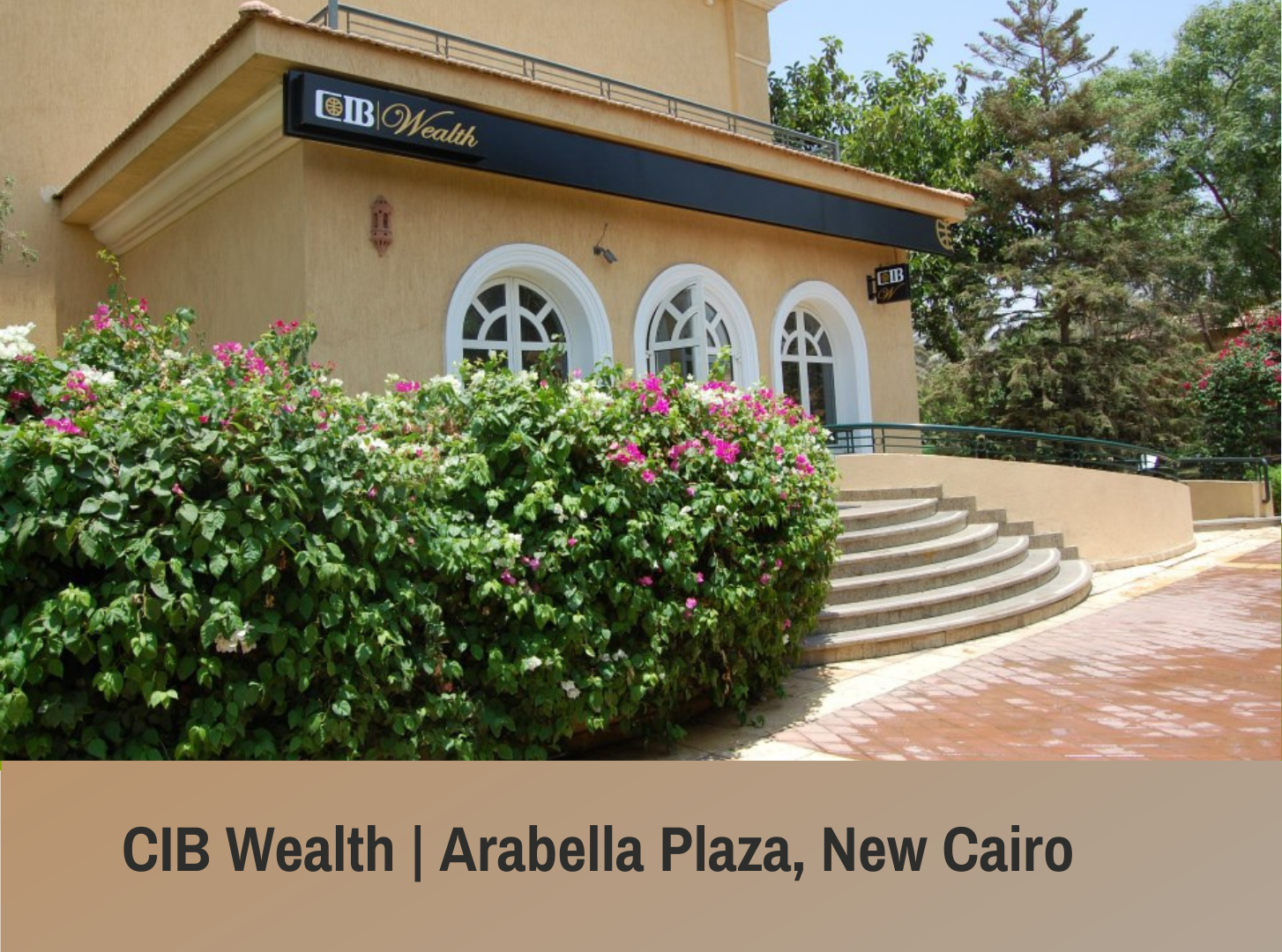 CIB Wealth